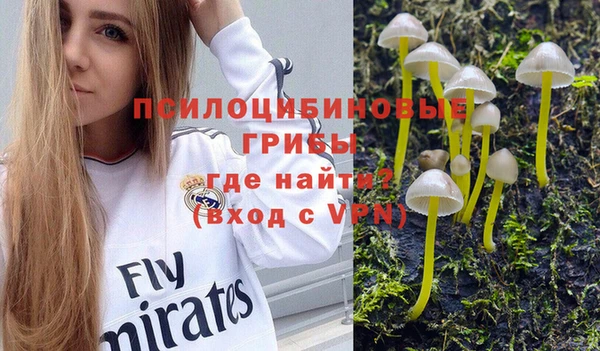 mdpv Вязьма