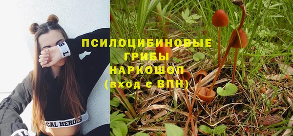 прущая мука Вязники